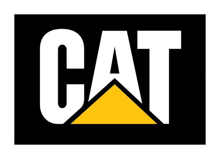 Cat logo